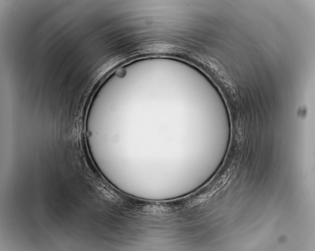 X0000103471073200810031515