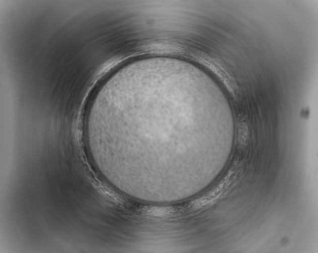 X0000103471074200810031515