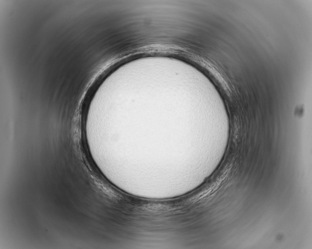 X0000103471075200810031515