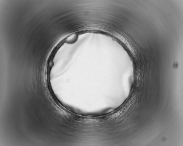 X0000103471076200810031515