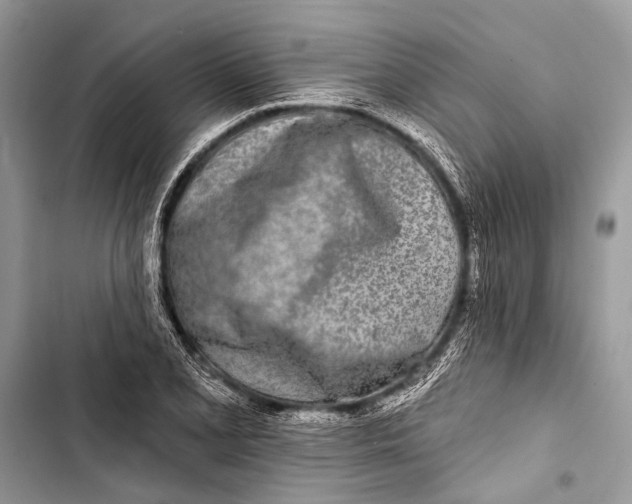 X0000103471077200810031515