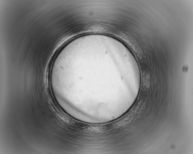 X0000103471078200810031515