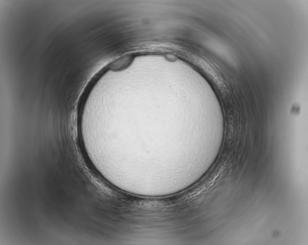 X0000103471079200810031515