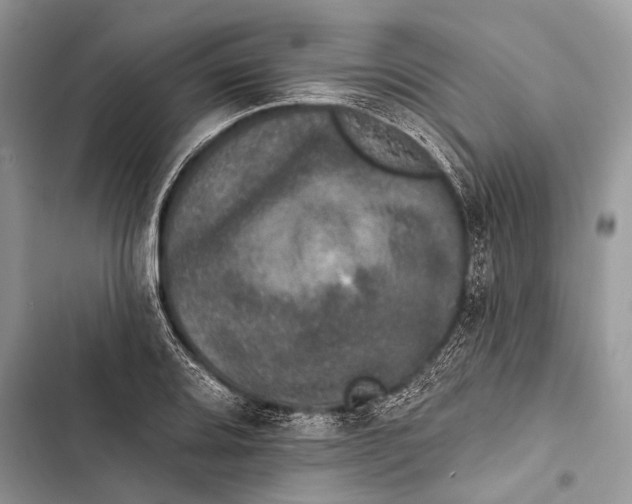 X0000103471080200810031515