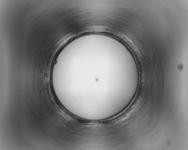 X0000103471081200810031515