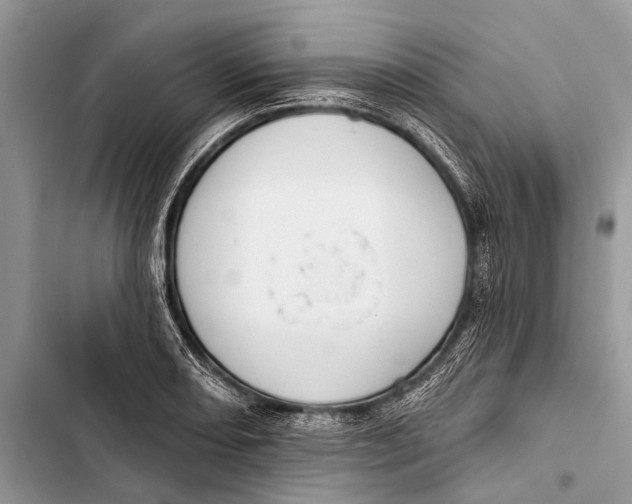 X0000103471082200810031515