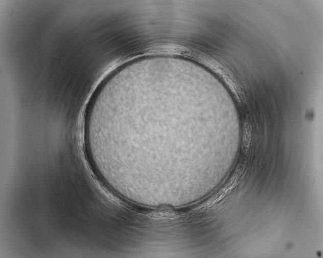 X0000103471083200810031515