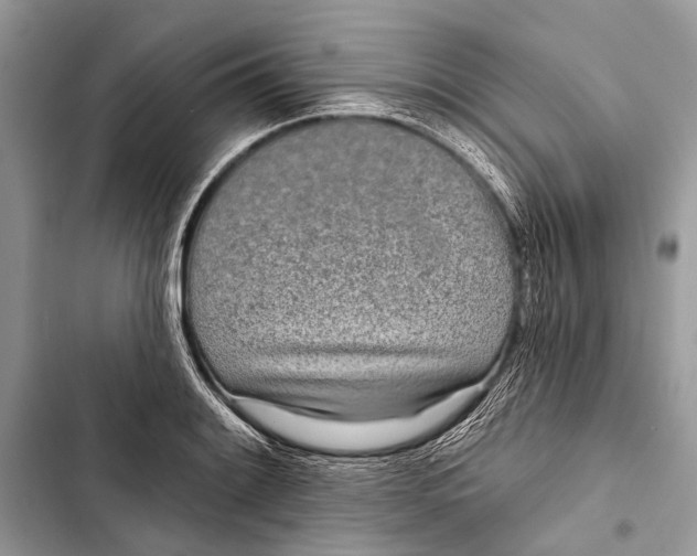 X0000103471084200810031515