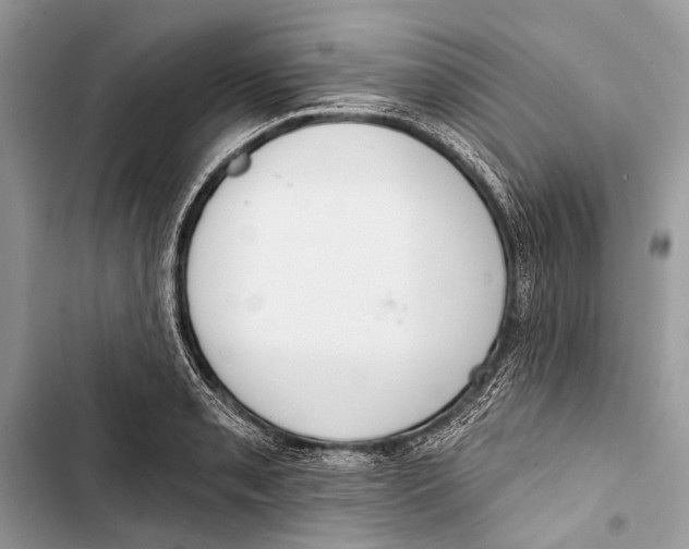 X0000103471085200810031515