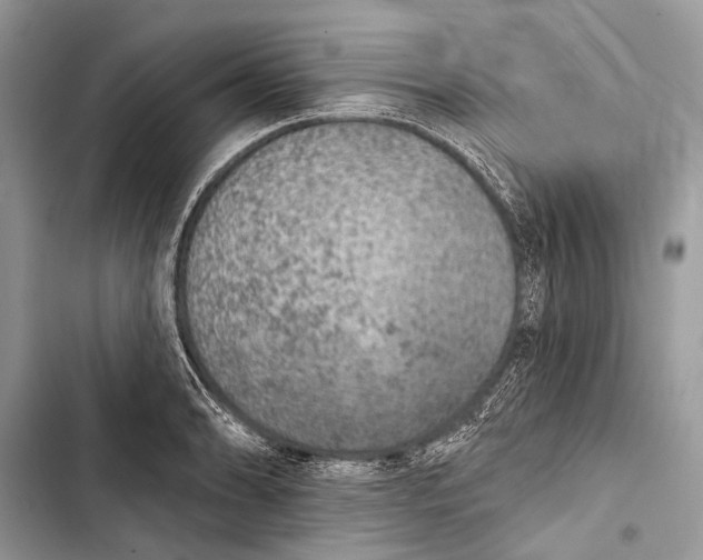 X0000103471086200810031515