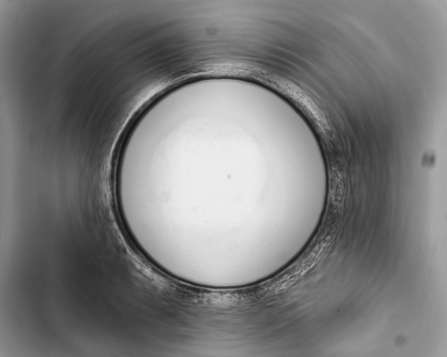 X0000103471087200810031515