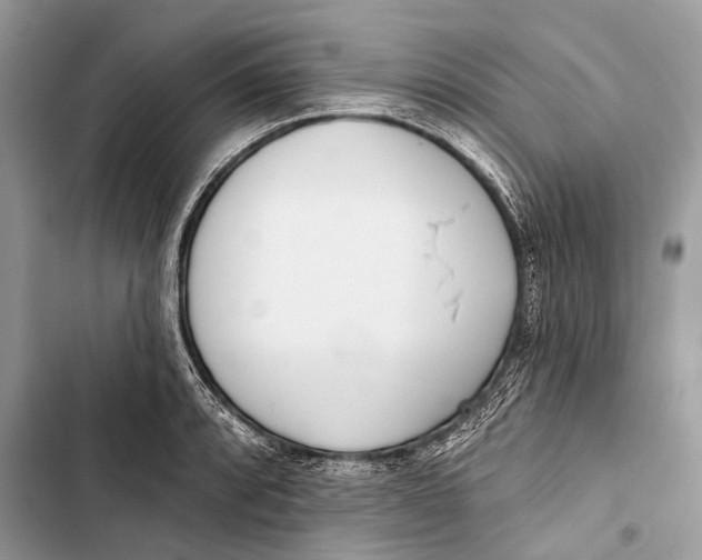 X0000103471088200810031514