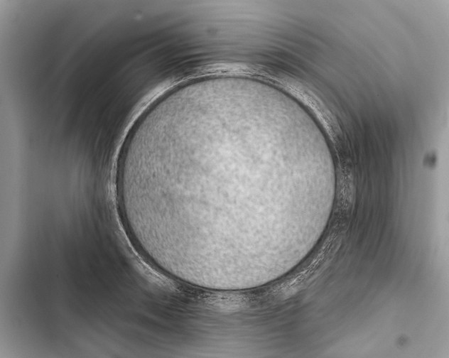 X0000103471090200810031514