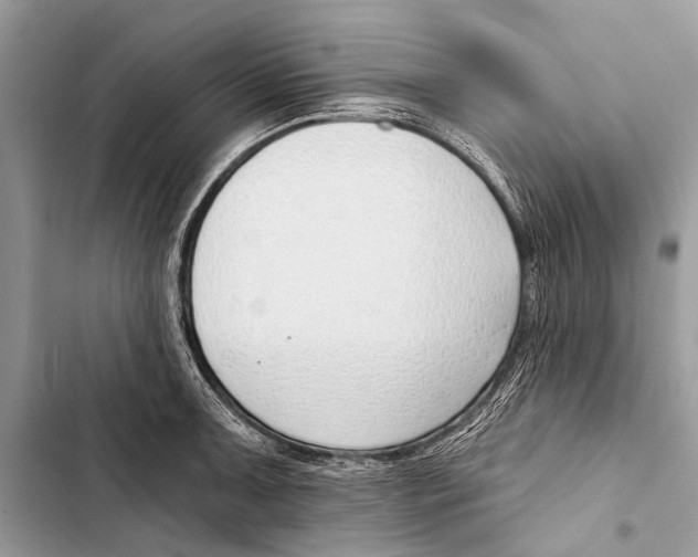 X0000103471091200810031514