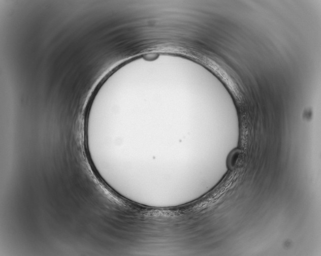 X0000103471092200810031514