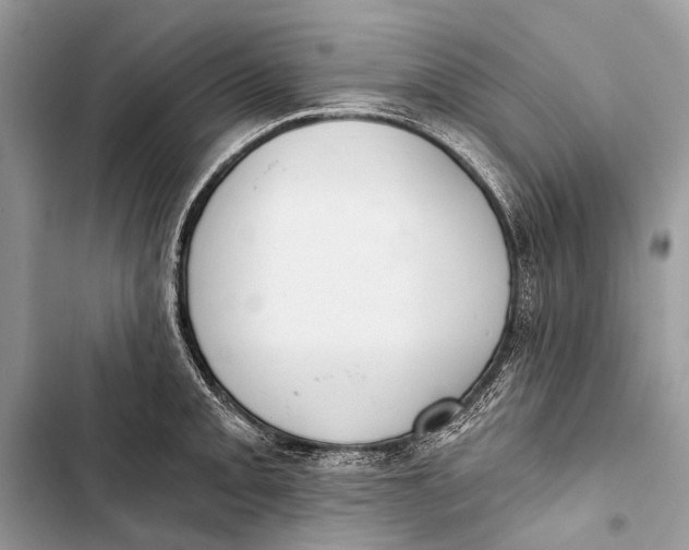 X0000103471093200810031514