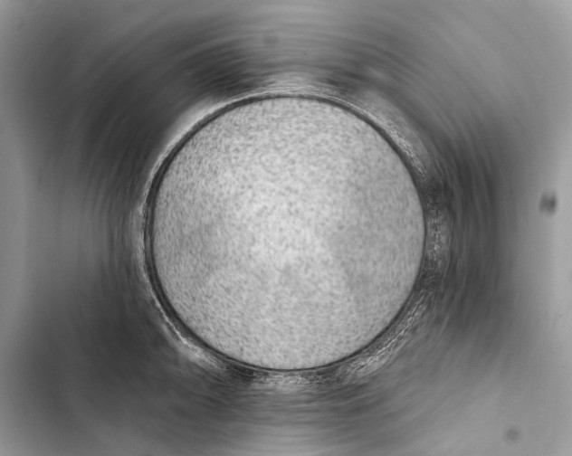 X0000103471094200810031514