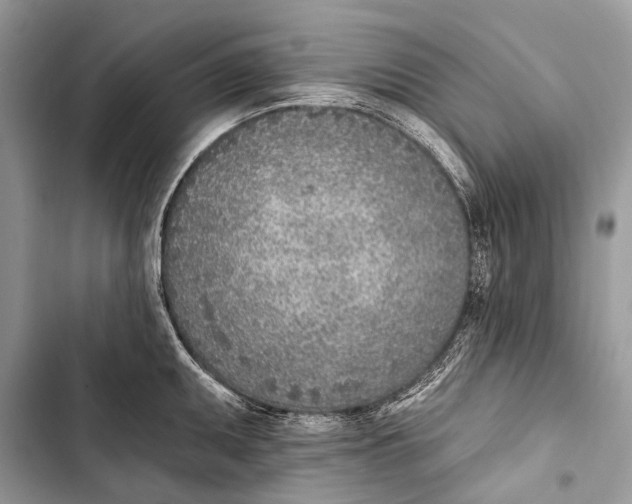 X0000103471095200810031514