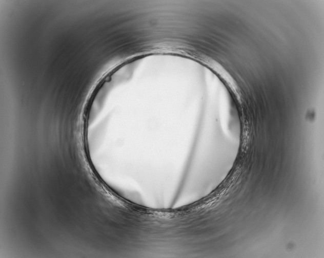 X0000103471096200810031514