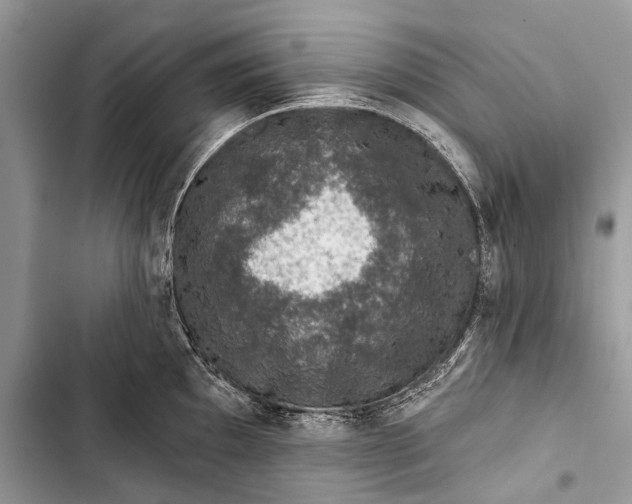 X0000103471097200810031514