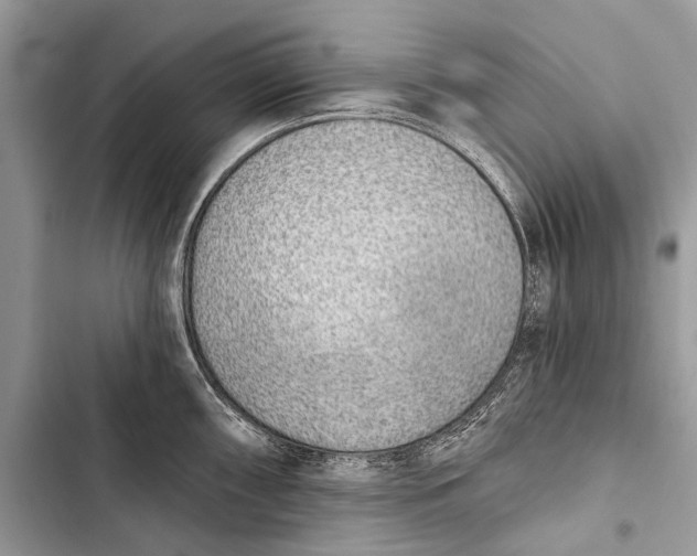 X0000103471098200810031514