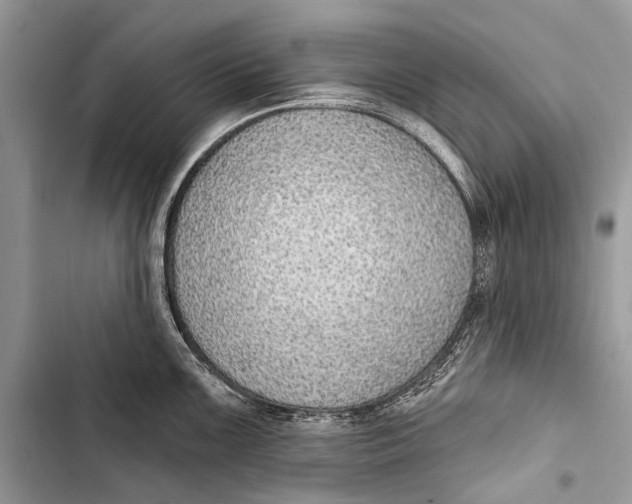 X0000103471099200810031514