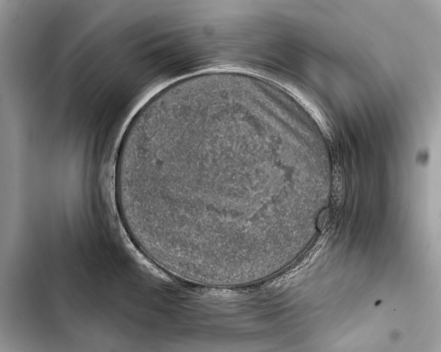 X0000103471100200810031514