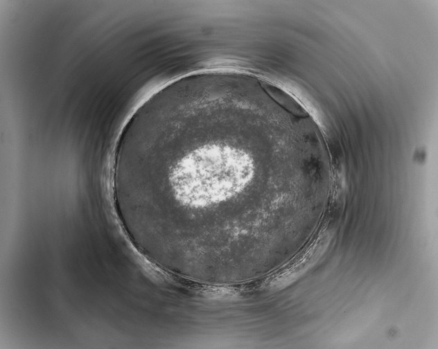 X0000103471101200810031514