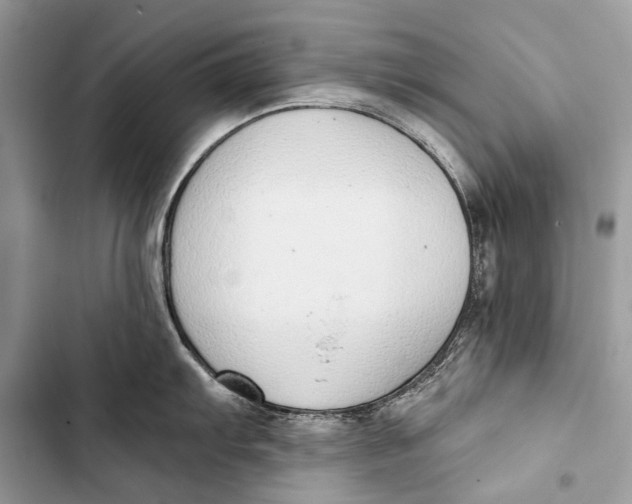 X0000103471103200810031514