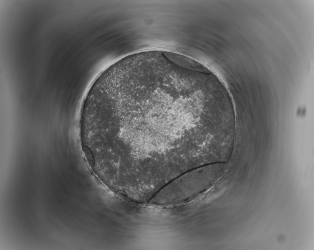 X0000103471104200810031514