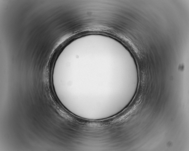 X0000103471114200810031514