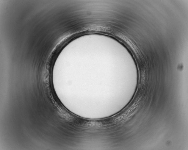 X0000103471115200810031514