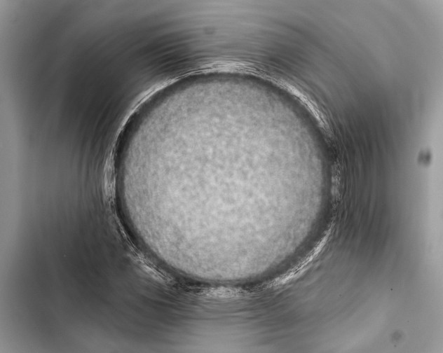 X0000103471117200810031514