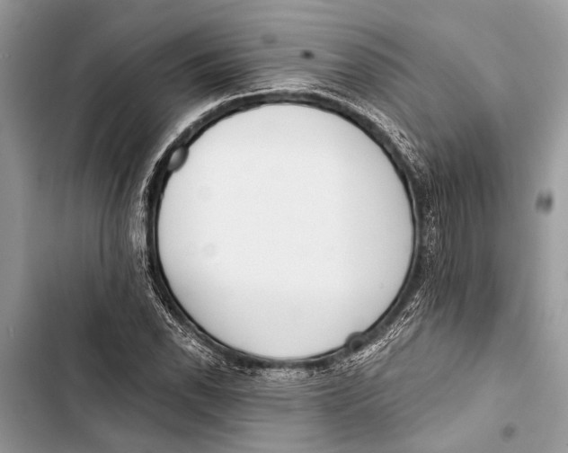 X0000103471118200810031514