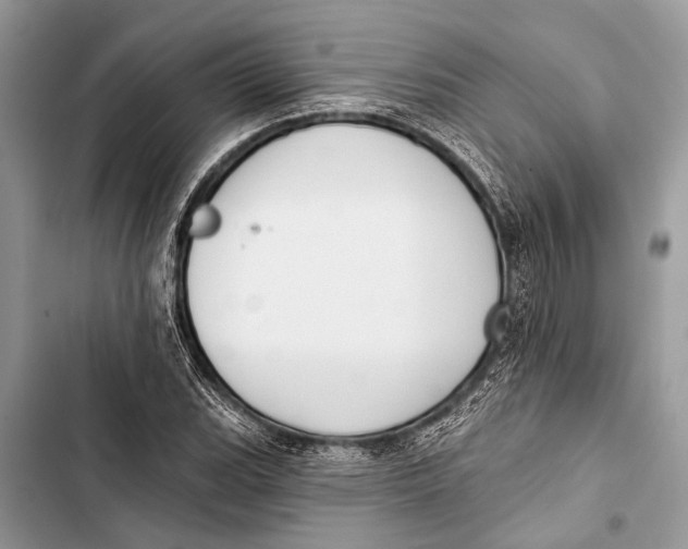 X0000103471119200810031514