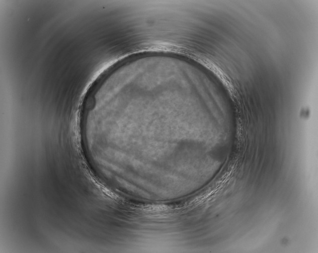 X0000103471120200810031514