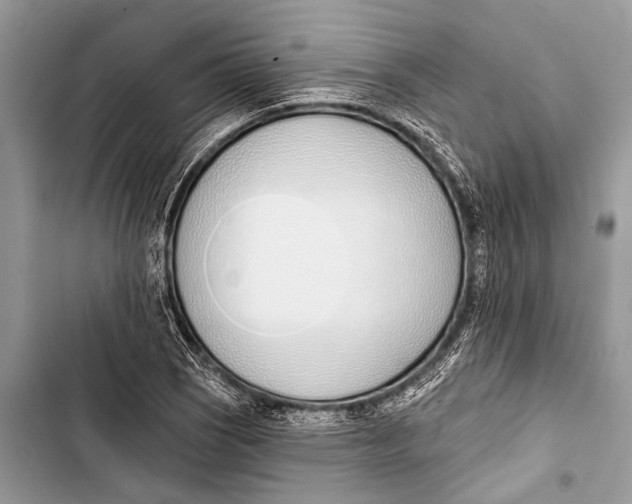 X0000103471121200810031514