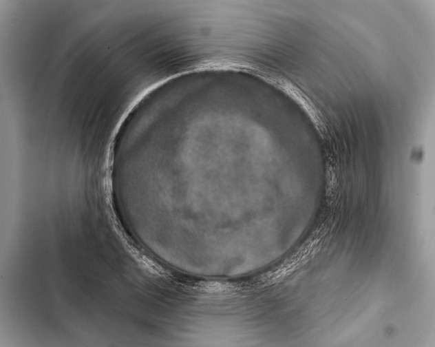 X0000103471124200810031514