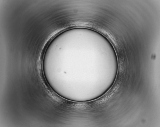 X0000103471125200810031514