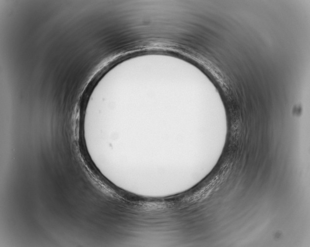 X0000103471126200810031514