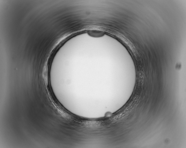 X0000103471127200810031514