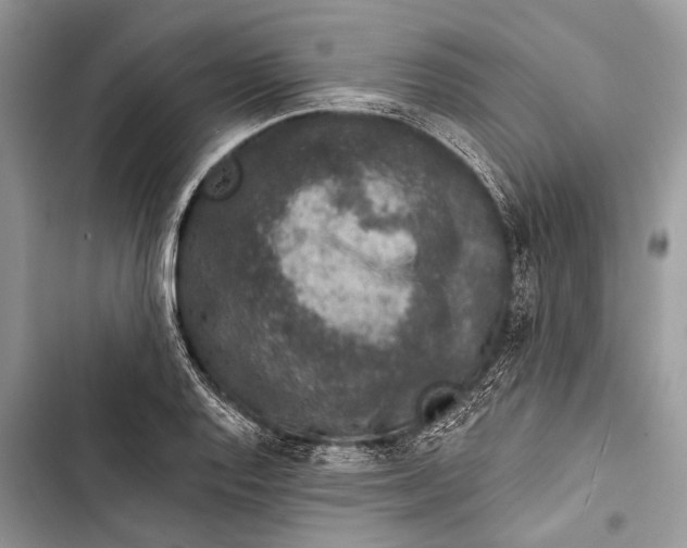 X0000103471128200810031514