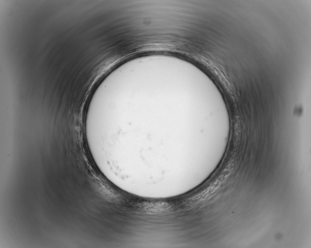 X0000103471129200810031514