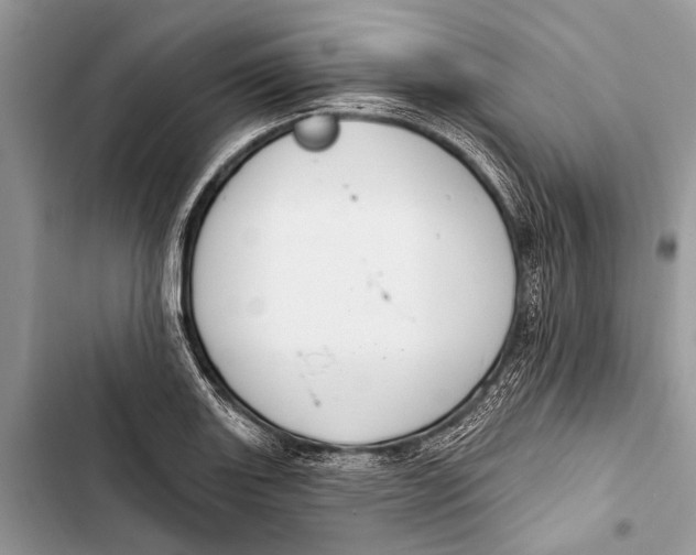 X0000103471131200810031514