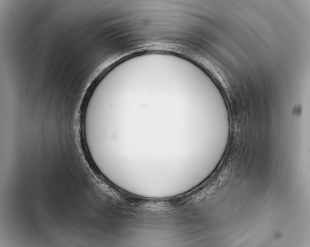 X0000103471133200810031514