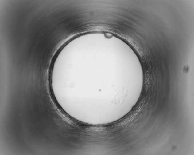 X0000103471134200810031514