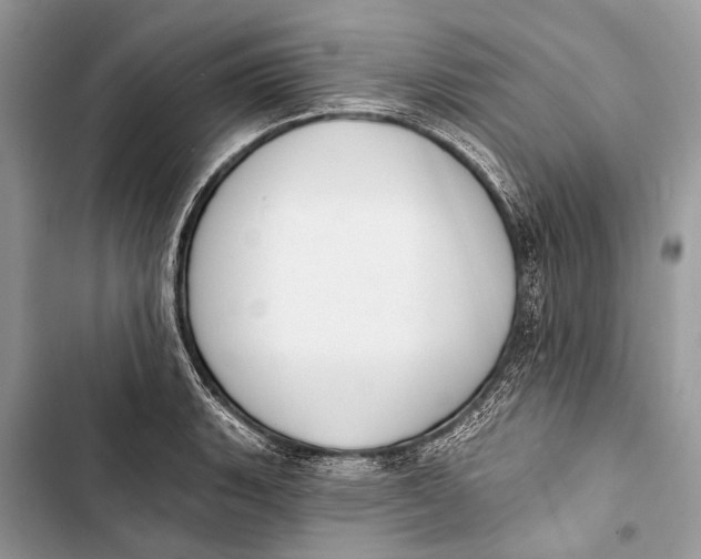 X0000103471135200810031514