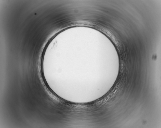 X0000103471136200810031514