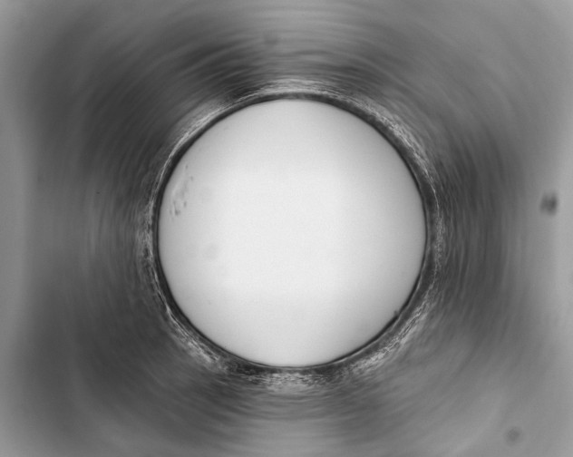 X0000103471137200810031514