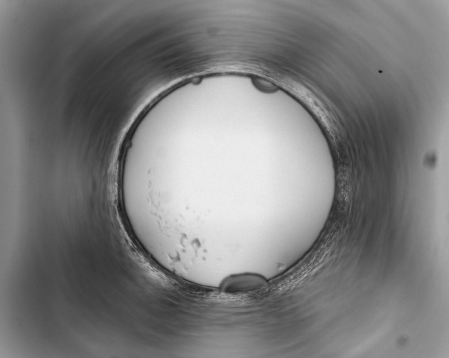 X0000103471140200810031514